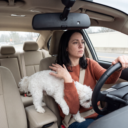 Dog Car Booster Seat – Safe, Cozy Rides