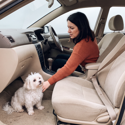 Dog Car Booster Seat – Safe, Cozy Rides
