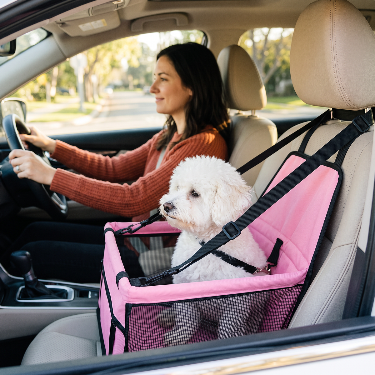 Dog Car Booster Seat – Safe, Cozy Rides
