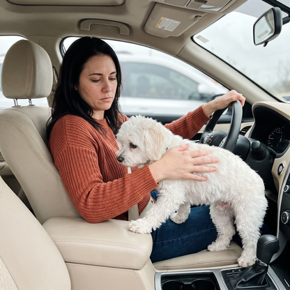 Dog Car Booster Seat – Safe, Cozy Rides